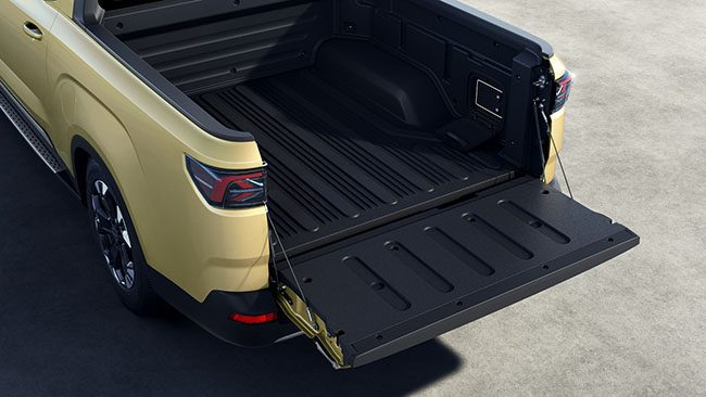 pickup eléctrica RD6