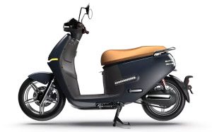 shenlan 1920 1920 pgg60krhazlqwma49vl37o3oy5ufrl1gs7t5d1jvbi