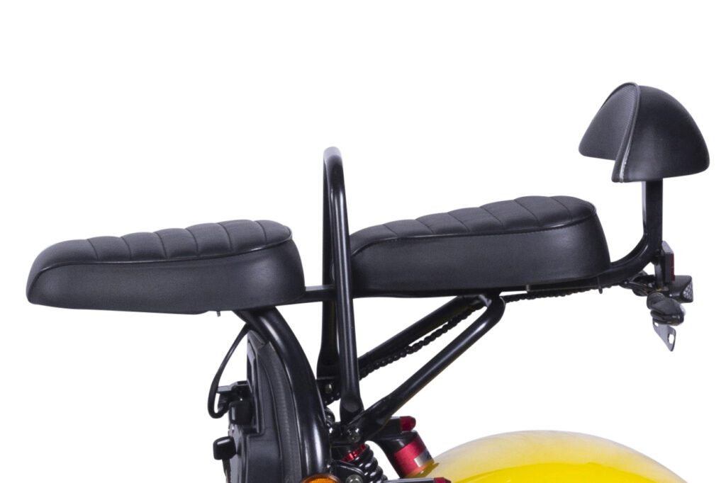 citycoco.com hr2 2 seat