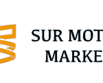 surmotormarket logotipo pagina web e1617205979176.png