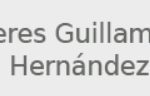 guillamon y hernandez
