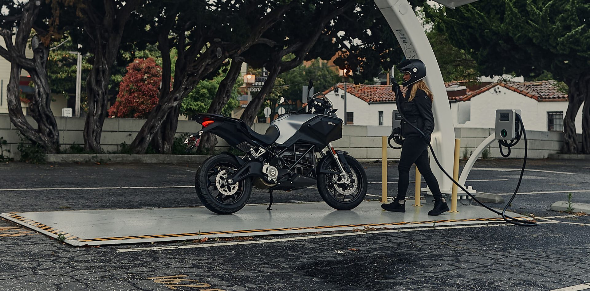 nueva zero dsr carne a2